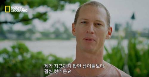 [스압] 향유고래 시체가 불러온 바다의 거인.jpg