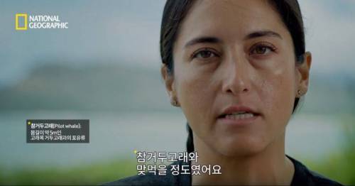 [스압] 향유고래 시체가 불러온 바다의 거인.jpg