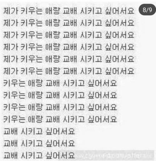 강아지 산책 중 번호 따간 썰.jpg
