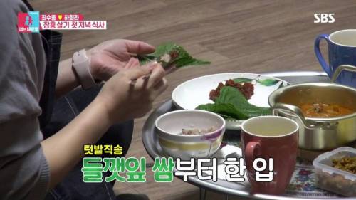 [스압] 서로 다른 최수종과 하희라.jpg