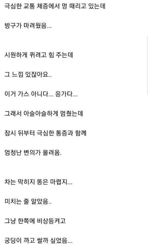 응가 쌀 뻔했는데 경찰이 도와준 보배 아재.jpg