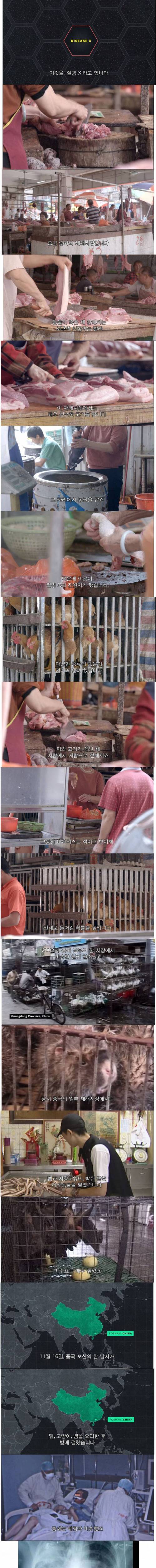 [스압] 전염병 주식회사.jpg