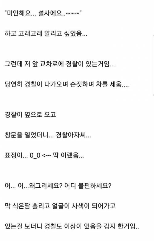 응가 쌀 뻔했는데 경찰이 도와준 보배 아재.jpg