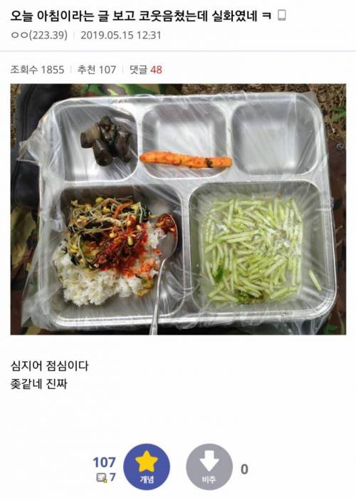 예비군 밥이냐 이게?