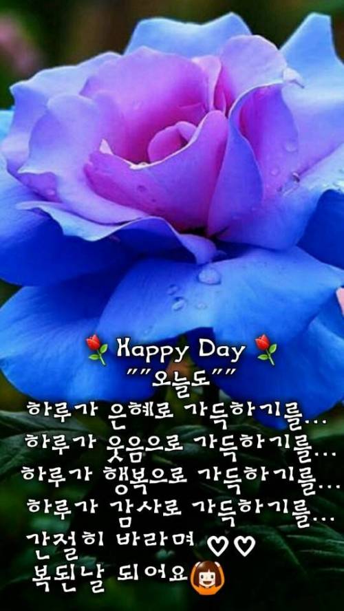 부모님이 보내는 카톡 이미지 특징.JPG
