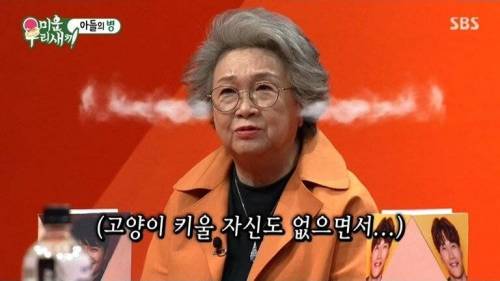 [스압] 박수홍네 집에 사는 고양이의 정체.jpg