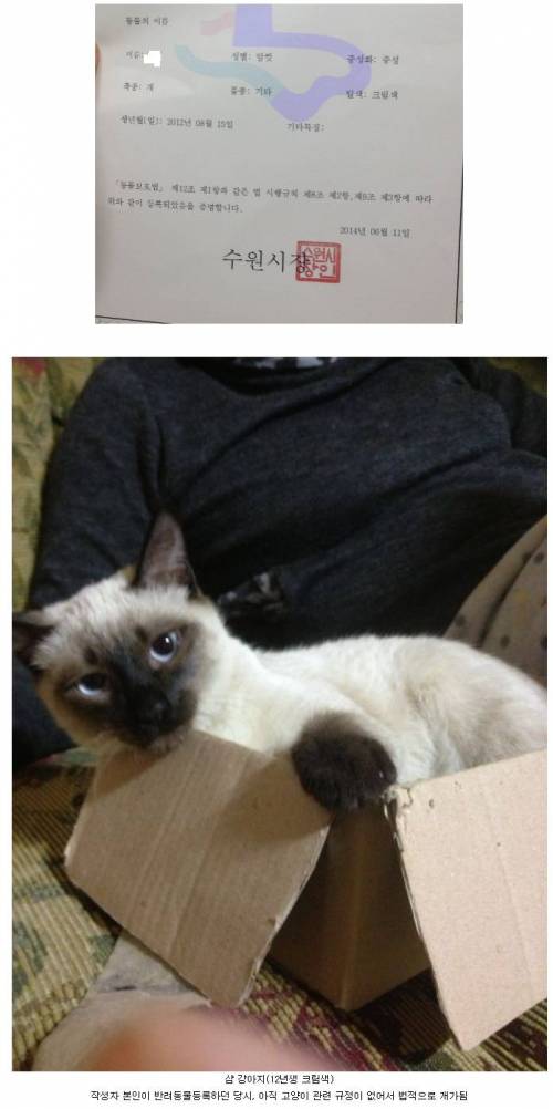 전세계에서 한국에만 존재하는 단 한 마리뿐인 개.jpg