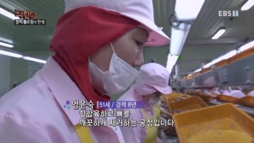 참치 통조림이 비싼 이유.mp4