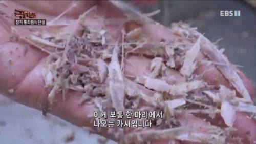 참치 통조림이 비싼 이유.mp4
