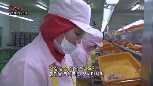 참치 통조림이 비싼 이유.mp4