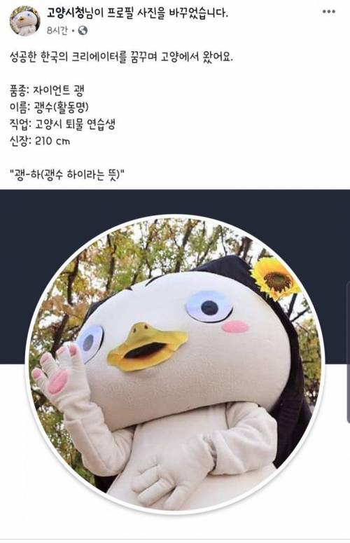 펭수 때문에 미쳐버린 고양시 근황.jpg