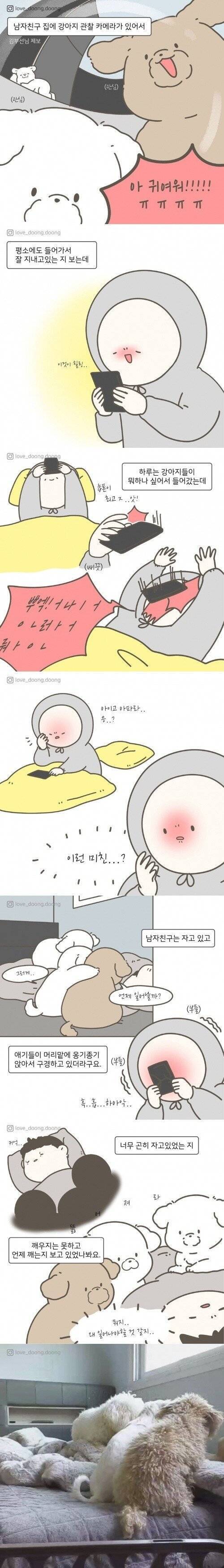 남친 집 강아지 관찰 카메라 보다가 심쿵사