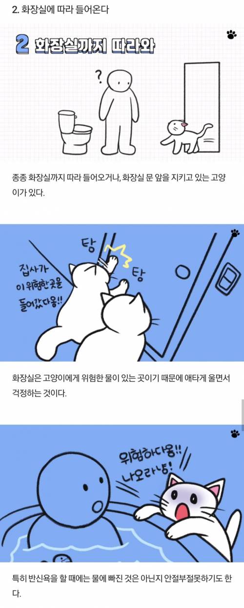 [스압] 고양이가 집사를 아기 고양이라고 생각할 때