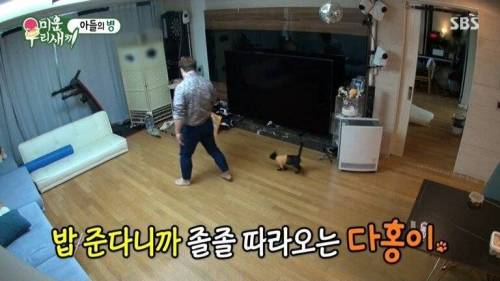 [스압] 박수홍네 집에 사는 고양이의 정체.jpg