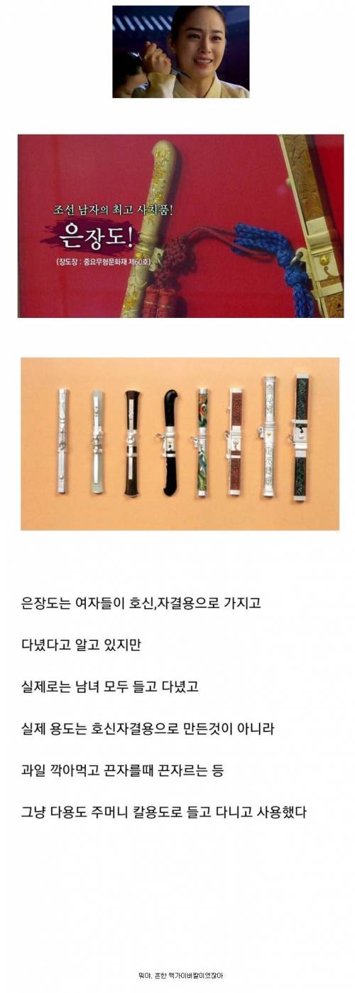 잘못 알고 있던 은장도 용도.jpg