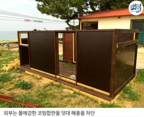 [스압] 역대급 금손의 댕댕이 전용 원룸 만들기