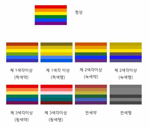 색맹의 종류.jpg