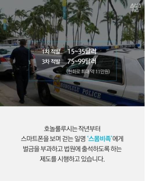 걸으면서 핸드폰 하는게 불법인 나라.jpg