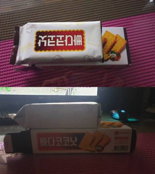 빠다코코낫 근황.jpg