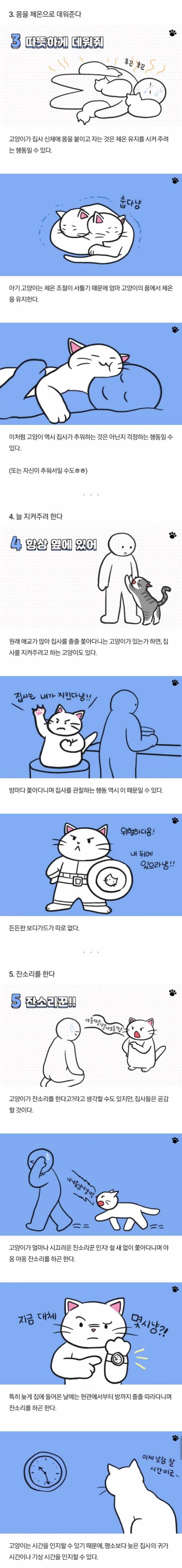 [스압] 고양이가 집사를 아기 고양이라고 생각할 때