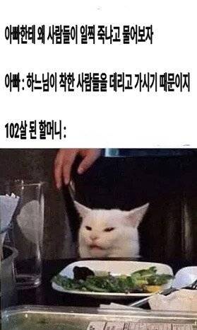 아빠, 사람은 왜 일찍 죽는거에요?