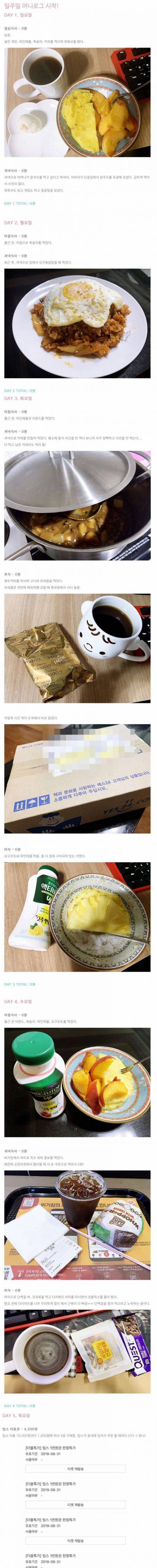 [스압] 식비 9,600원으로 일주일 버티기!