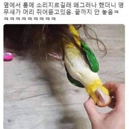 룸메가 소리지른 이유