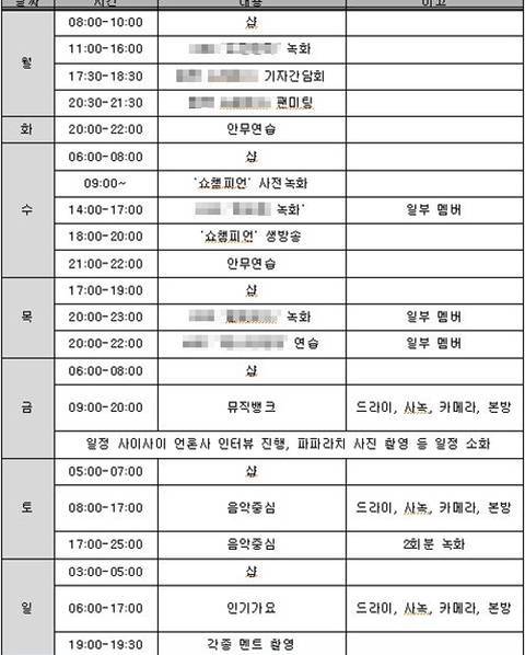 아이돌 가수 활동기간 살인적 스케쥴