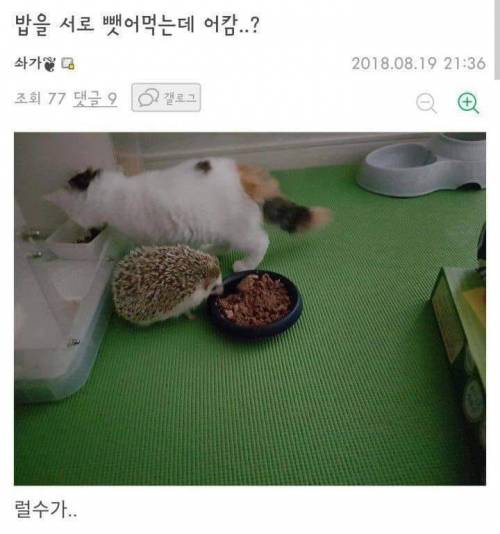 편식을 고치려고 친구를 데려왔는데.jpg