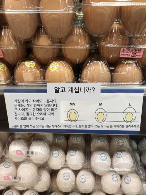 계란 고르기 팁.jpg