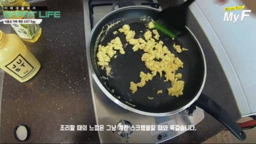 식물로만든 가짜계란.jpg