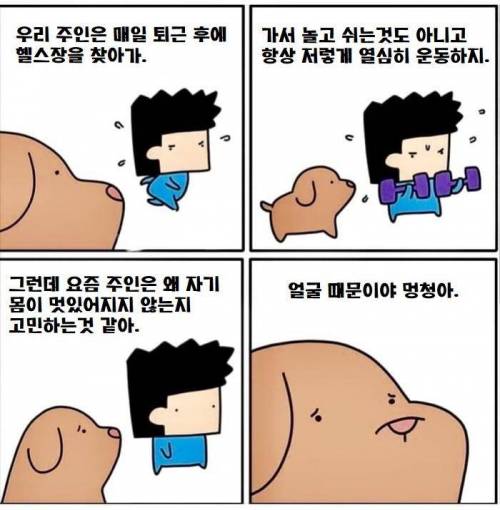 운동하는 주인을 보는 멍멍이.jpg