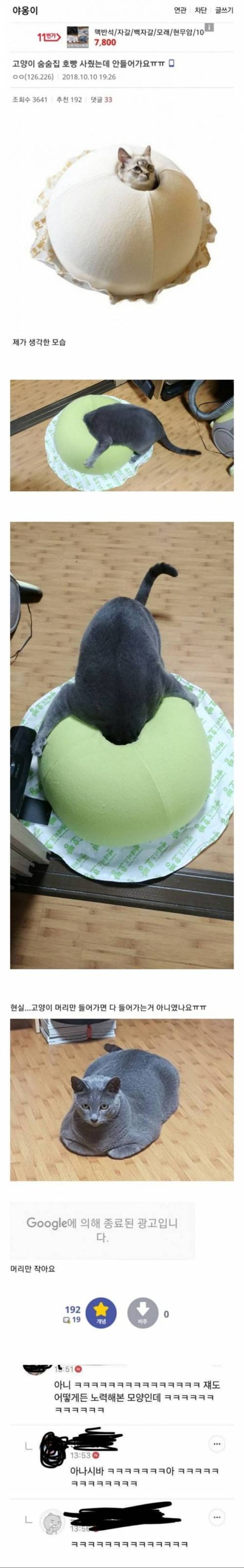 고양이 집 사줬는데 안들어가요