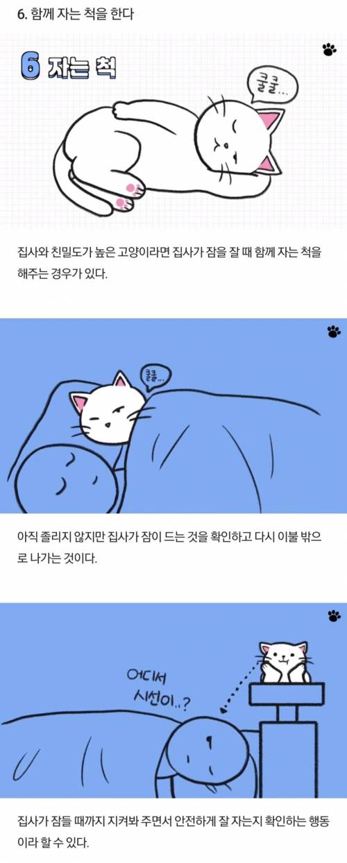 [스압] 고양이가 집사를 아기 고양이라고 생각할 때