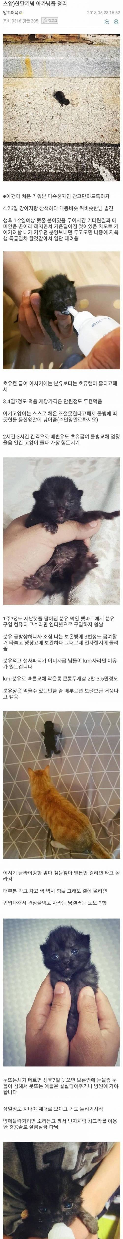 [스압] 고양이 제조과정.jpg
