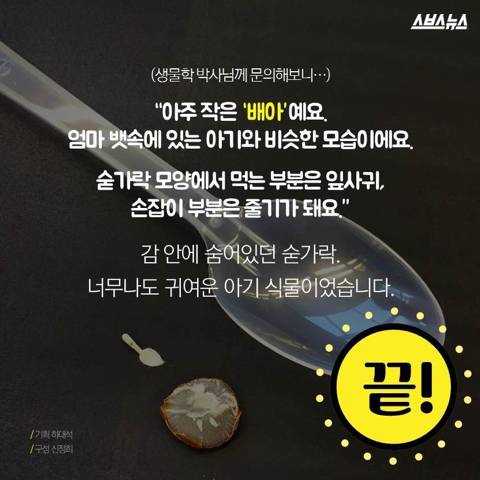 감안에 들어있는 숟가락.jpg
