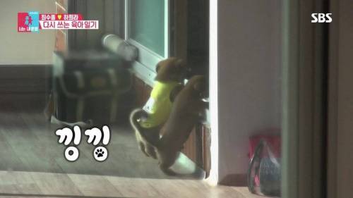 [스압] 연기 인생 최초 동물 연기에 도전한 최수종.jpg