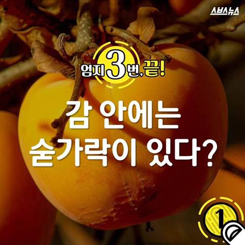 감안에 들어있는 숟가락.jpg