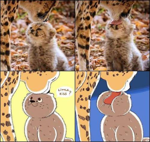 엄마 나 뽀뽀?.jpg