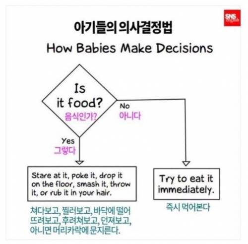 아기들의 의사결정법.jpg