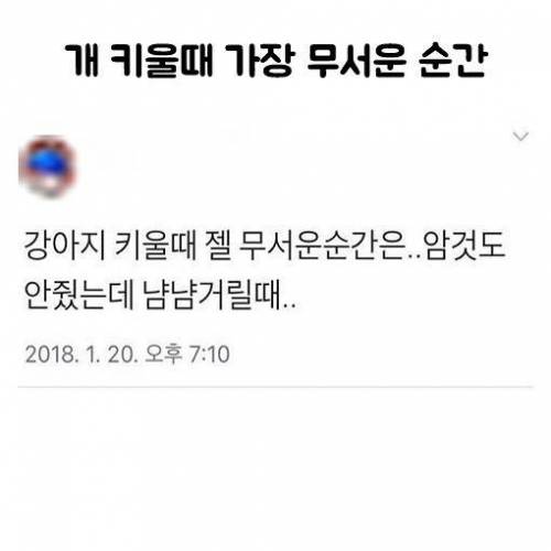 개 키울때 가장 무서운 순간.jpg