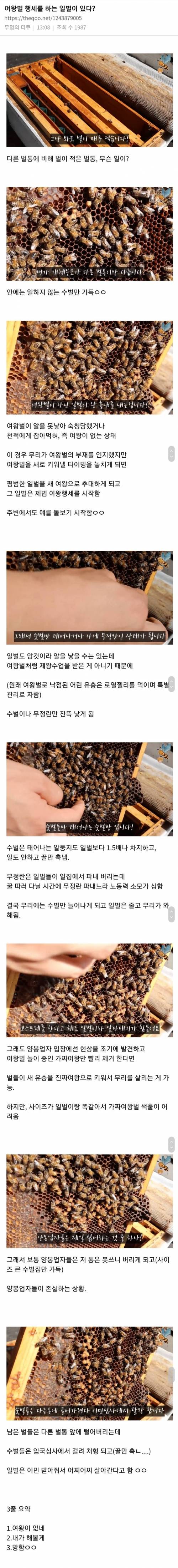 여왕벌 행세하는 일벌이있다?