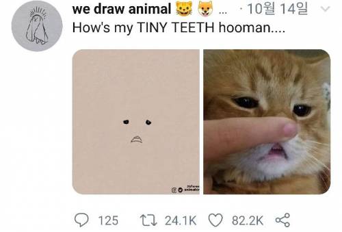 [스압] 트위터 동물그림들.jpg