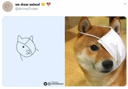 [스압] 트위터 동물그림들.jpg