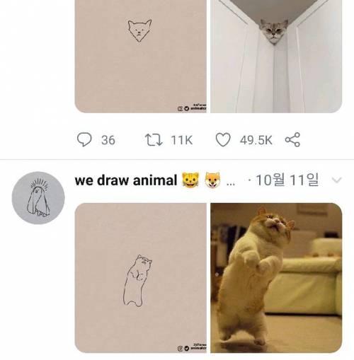 [스압] 트위터 동물그림들.jpg