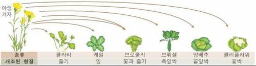 인간의 집요함이 낳은 결과.jpg