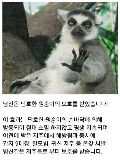 등교길, 출근길 버프 받고 가세요~