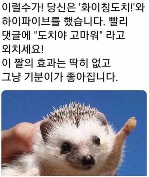 등교길, 출근길 버프 받고 가세요~