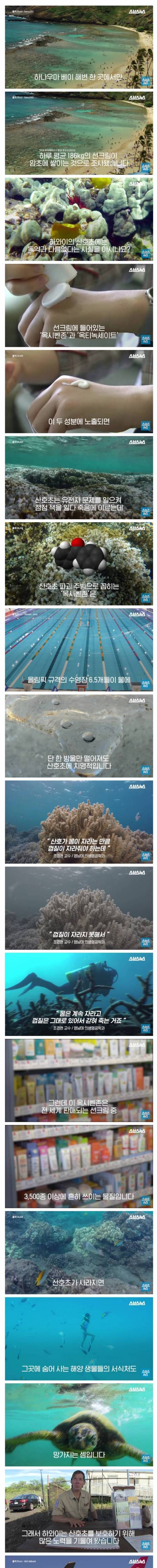 [스압] 하와이에 선크림을 규제하는 이유.jpg