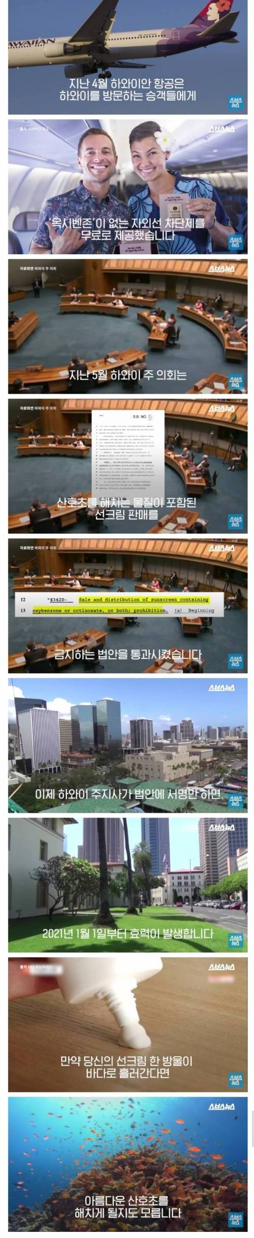 [스압] 하와이에 선크림을 규제하는 이유.jpg